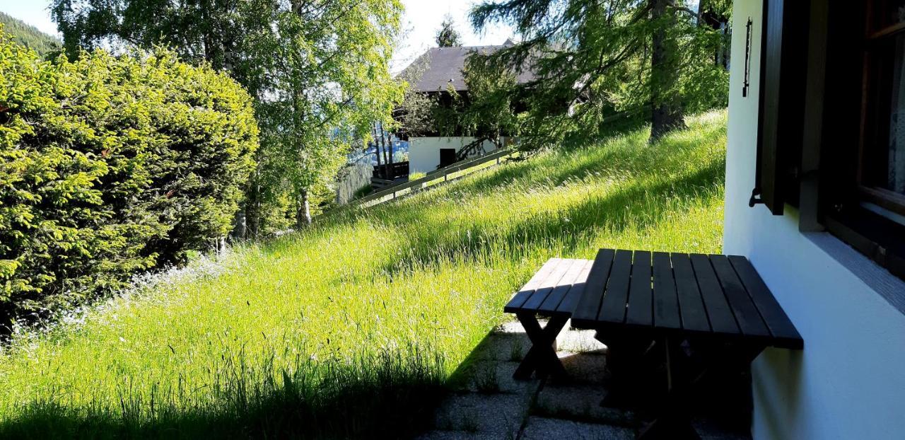 Chalet Wiesernock Bad Kleinkirchheim Buitenkant foto